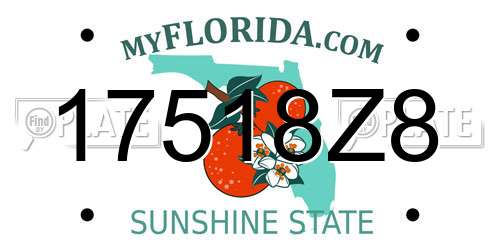 17518Z8 Florida License Plate