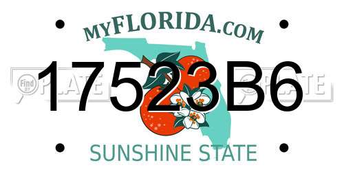 17523B6 Florida License Plate