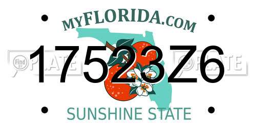 17523Z6 Florida License Plate
