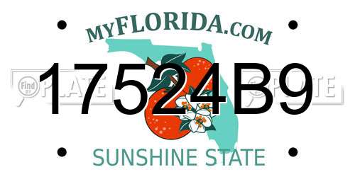 17524B9 Florida License Plate