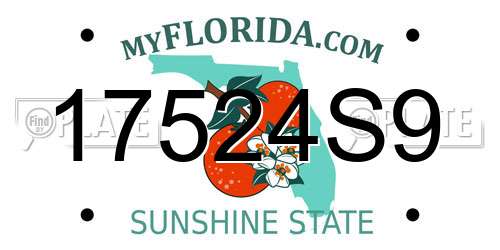17524S9 Florida License Plate