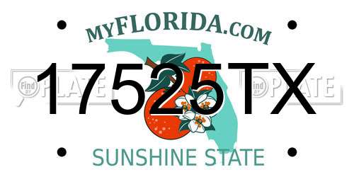 17525TX Florida License Plate