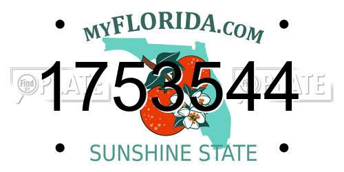 1753544 Florida License Plate