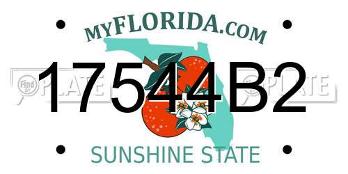 17544B2 Florida License Plate