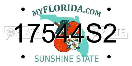 17544S2 Florida License Plate