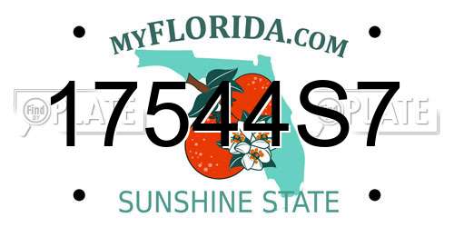 17544S7 Florida License Plate