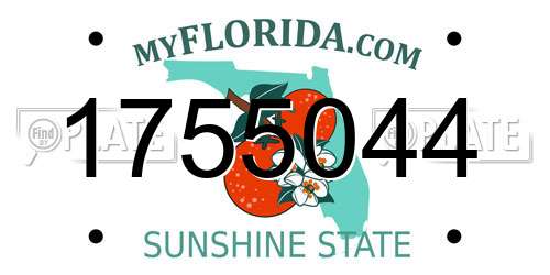 1755044 Florida License Plate