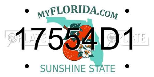 17554D1 Florida License Plate
