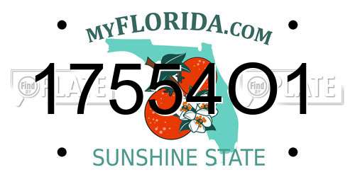 17554O1 Florida License Plate