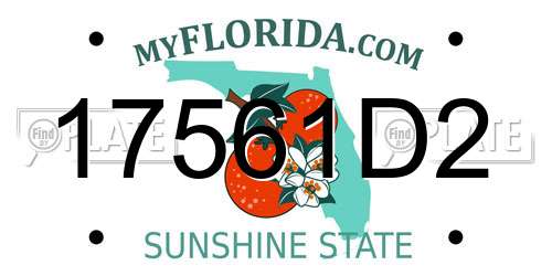 17561D2 Florida License Plate