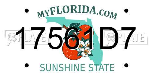 17561D7 Florida License Plate