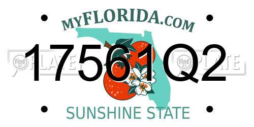 17561Q2 Florida License Plate