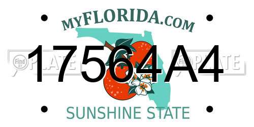 17564A4 Florida License Plate