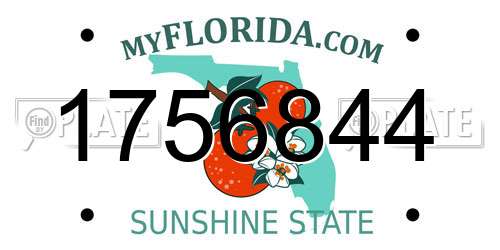 1756844 Florida License Plate