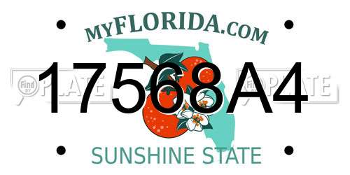 17568A4 Florida License Plate