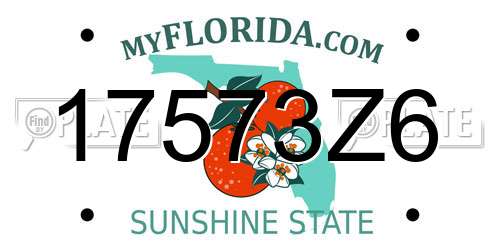 17573Z6 Florida License Plate