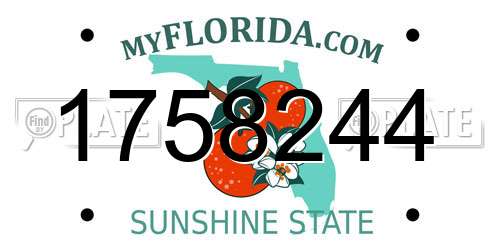 1758244 Florida License Plate