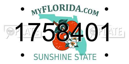 1758401 Florida License Plate