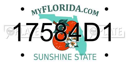 17584D1 Florida License Plate