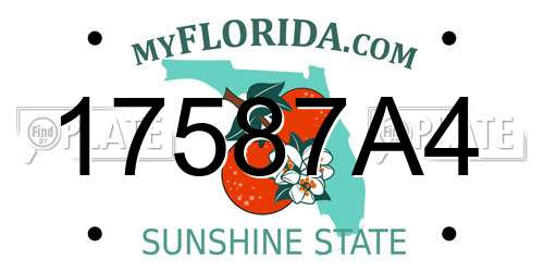17587A4 Florida License Plate