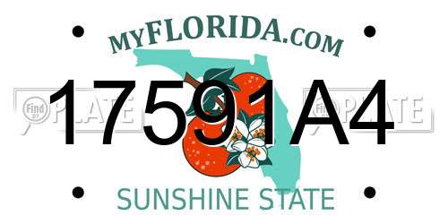 17591A4 Florida License Plate