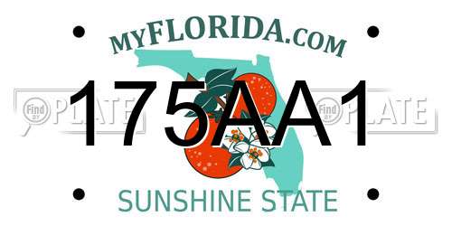 175AA1 Florida License Plate