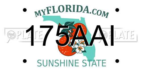 175AAI Florida License Plate