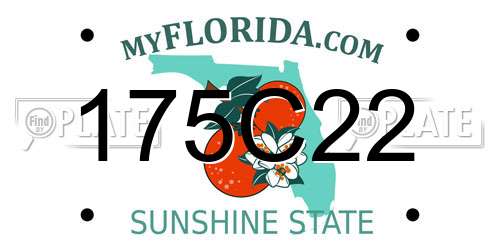 175C22 Florida License Plate