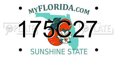 175C27 Florida License Plate