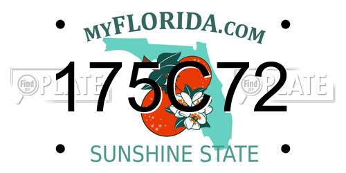 175C72 Florida License Plate