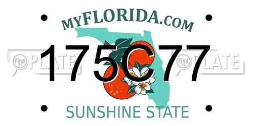 175C77 Florida License Plate