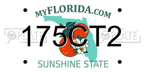175CT2 Florida License Plate