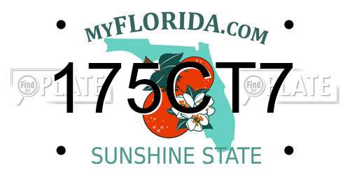 175CT7 Florida License Plate