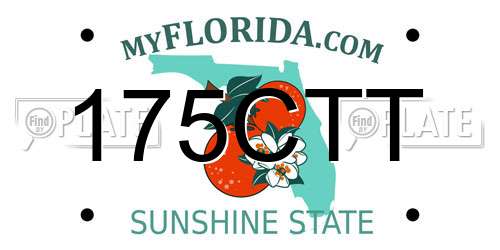 175CTT Florida License Plate