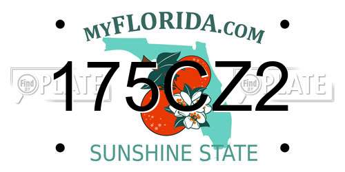 175CZ2 Florida License Plate