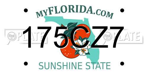 175CZ7 Florida License Plate