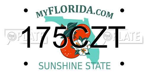 175CZT Florida License Plate