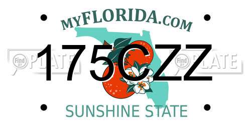 175CZZ Florida License Plate