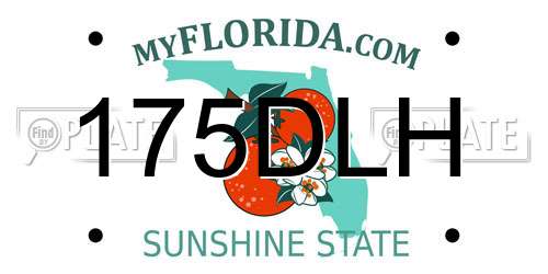175DLH Florida License Plate