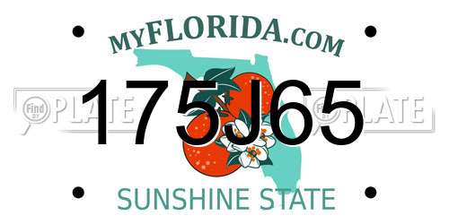 175J65 Florida License Plate