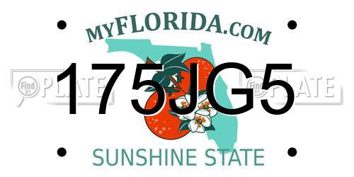 175JG5 Florida License Plate