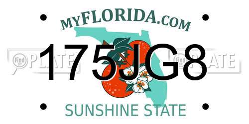 175JG8 Florida License Plate