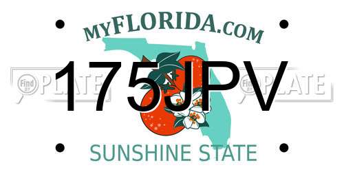 175JPV Florida License Plate