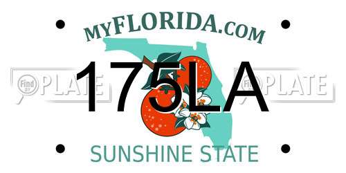 175LA Florida License Plate