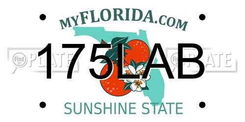 175LAB Florida License Plate