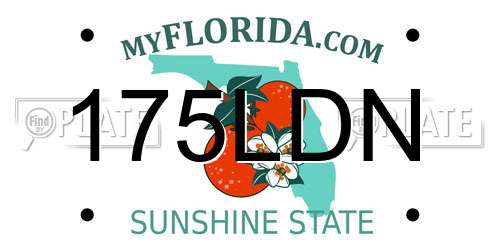 175LDN Florida License Plate