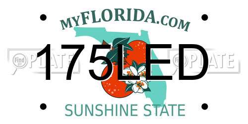 175LED Florida License Plate