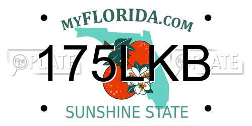 175LKB Florida License Plate