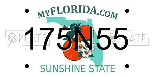 175N55 Florida License Plate