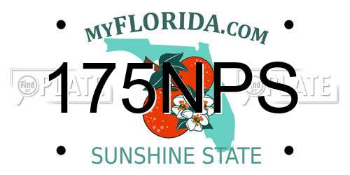 175NPS Florida License Plate